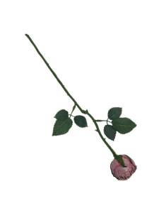 Róża gałązka 35 cm brudny fiolet