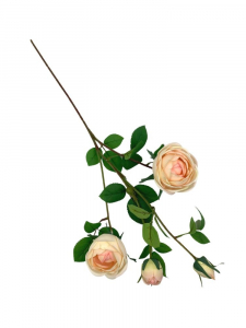 Róża na gałązce 70 cm kremowa
