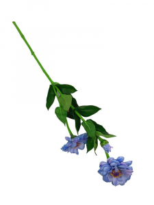 Cynia kwiat pojedynczy 62 cm jasno niebieska