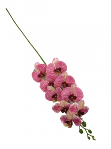 Storczyk kwiat pojedynczy 95 cm różowy