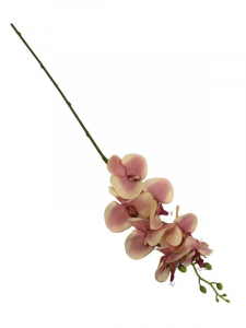 Storczyk kwiat pojedynczy 85 cm różowo kremowy