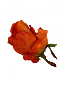 Róża gigant główka 12 cm pomarańczowa