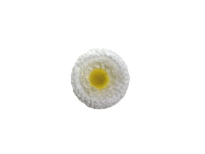 Stokrotka kwiat wyrobowy 3,5 cm biała