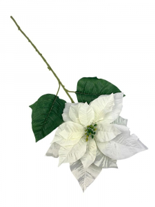 Gwiazda betlejemska kwiat pojedynczy 78 cm biała