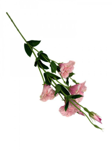 Eustoma gałązka 80 cm różowa