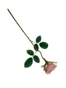 Róża pojedyncza gałązka 48 cm pudrowy róż