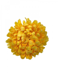 Chryzantema główka 16 cm żółta