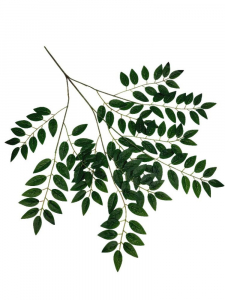 Liść akacji 68 cm zielony