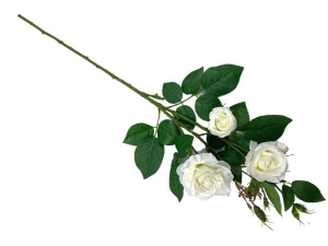 Róża kwiat pojedynczy 77 cm biała