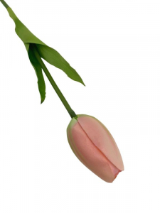 Tulipan kwiat pojedynczy 54 cm jasno różowy