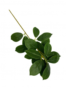 Fikus gałązka z liśćmi 42cm zielona