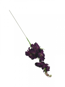 Ostróżka kwiat pojedynczy 44 cm purpurowo zielona
