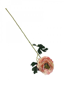 Pełnik kwiat pojedynczy 54 cm jasny róż z oliwkowym środkiem