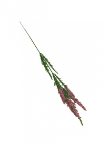 Wrzos kwiat pojedynczy 40 cm jasno różowy