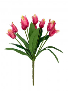 Tulipany strzępiaste bukiet 42 cm cm różowe