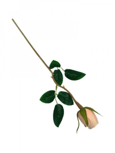 Róża gałązka 37 cm brzoskwiniowa