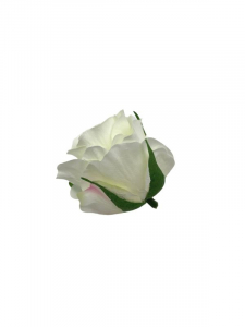 Róża główka 6 cm kremowy