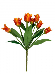 Tulipany strzępiaste bukiet 42 cm cm pomarańczowe