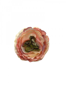 Pełnik główka 9 cm róż z kremem i oliwką