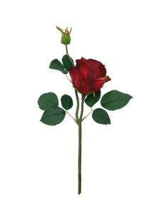 Róża kwiat pojedynczy 36 cm czerwona