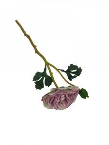 Pełnik kwiat pojedynczy 35 cm brudny fiolet z jasną zielenią