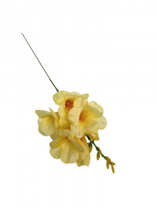 Frezja kwiat pojedynczy 36 cm żółta