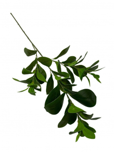 Gałązka liści 73 cm zielona