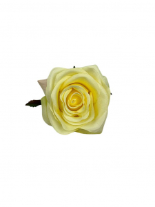Róża główka 9 cm waniliowa
