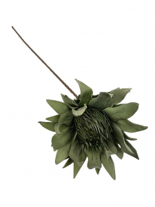 Egzotyczny kwiat piankowy 82 cm zielony