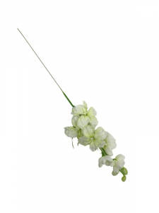 Ostróżka kwiat pojedynczy 44 cm biało zielona
