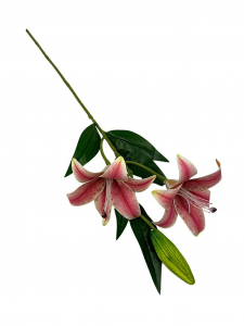 Lilia silikonowa gałązka 65 cm brudny róż
