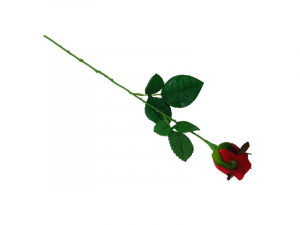 Róża kwiat pojedynczy 42 cm czerwona