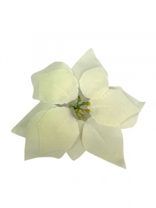 Gwiazda betlejemska kwiat wyrobowy 22 cm kremowa
