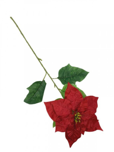Gwiazda betlejemska kwiat pojedynczy 78 cm czerwona