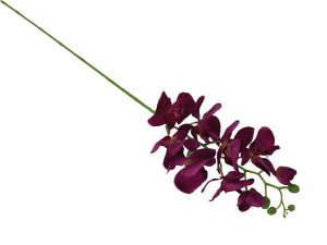 Storczyk kwiat pojedynczy 100 cm purpurowy