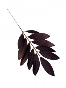 Liść laurowy gałązka 46 cm ciemny brudny fiolet