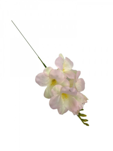 Frezja kwiat pojedynczy 36 cm jasno różowy