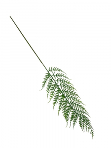 Paproć liść 63 cm zielona