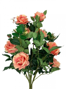 Bukiet róży 80 cm jasny róż z kremowym cieniowaniem