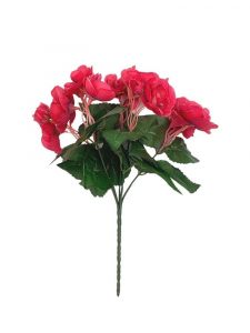 Begonia bukiet 31 cm głęboki róż