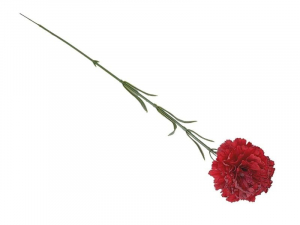 Goździk kwiat pojedynczy 52 cm czerwony