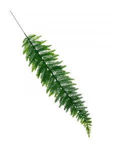 Liść paproci 60 cm zielona