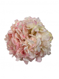 Hortensja główka na piku XL 25 cm jasny róż