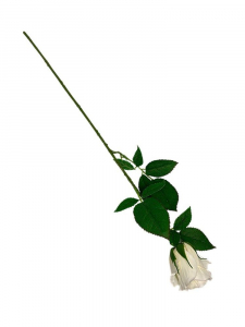 Róża gałązka 59 cm kremowa