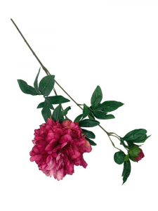 Piwonia gałązka 67 cm głęboki róż