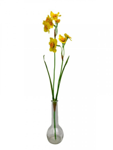 Narcyz kwiat pojedynczy 60 cm żółty