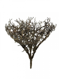 Krzew korzeń 25 cm brązowy pozłacany