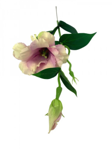 Eustoma gałązka 48 cm pudrowy różowy zielony