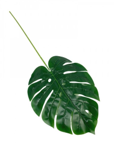 Monstera liść gumowy 71 cm zielony