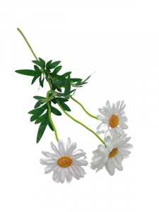 Margaretka kwiat pojedynczy 55 cm biała
